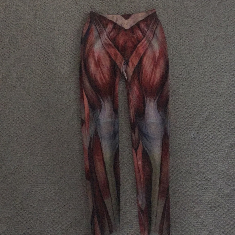 Anatomy leggings
